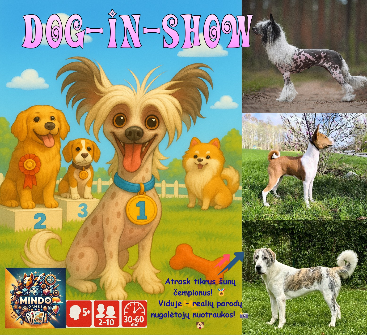 (-LT-) DOG-IN-SHOW stalo žaidimas LT Versija